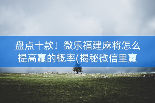 盘点十款！微乐福建麻将怎么提高赢的概率(揭秘微信里赢的秘诀)