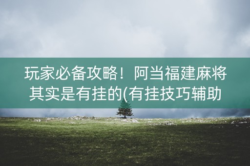 玩家必备攻略！阿当福建麻将其实是有挂的(有挂技巧辅助器)