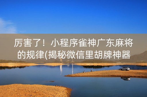 厉害了！小程序雀神广东麻将的规律(揭秘微信里胡牌神器)