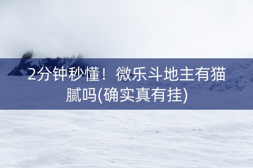 2分钟秒懂！微乐斗地主有猫腻吗(确实真有挂)