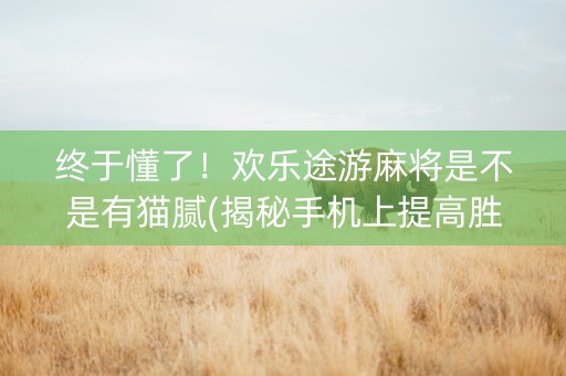 终于懂了！欢乐途游麻将是不是有猫腻(揭秘手机上提高胜率)