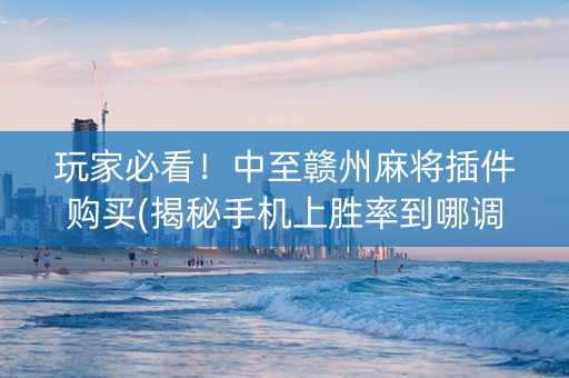 玩家必看！中至赣州麻将插件购买(揭秘手机上胜率到哪调)