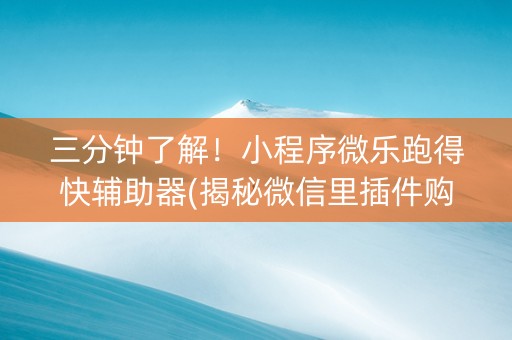三分钟了解！小程序微乐跑得快辅助器(揭秘微信里插件购买)