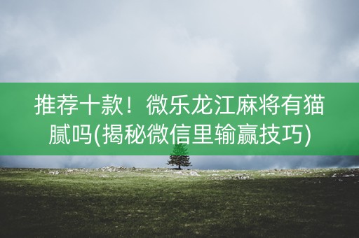 推荐十款！微乐龙江麻将有猫腻吗(揭秘微信里输赢技巧)