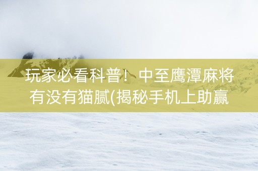 玩家必看科普！中至鹰潭麻将有没有猫腻(揭秘手机上助赢神器购买)