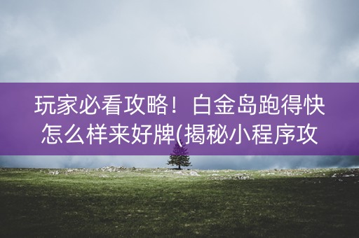 玩家必看攻略！白金岛跑得快怎么样来好牌(揭秘小程序攻略插件)