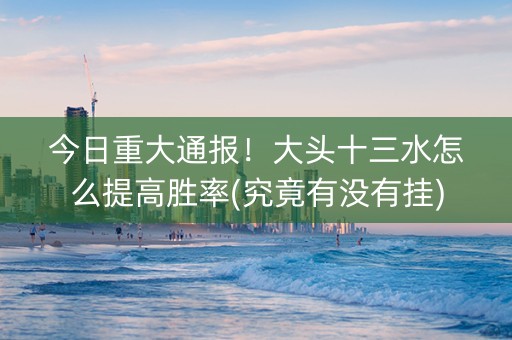 今日重大通报！大头十三水怎么提高胜率(究竟有没有挂)