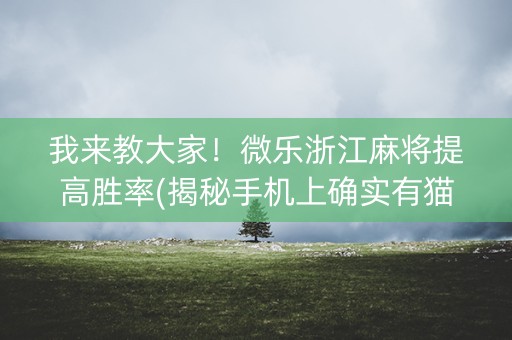 我来教大家！微乐浙江麻将提高胜率(揭秘手机上确实有猫腻)