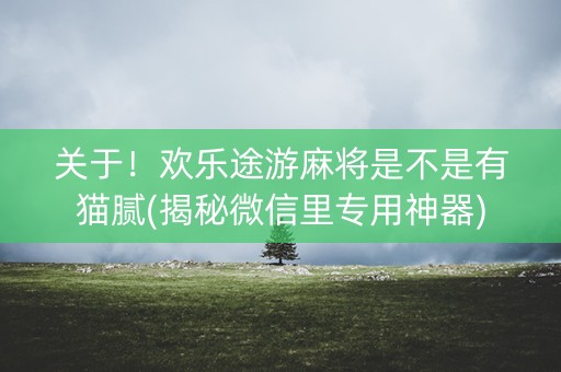 关于！欢乐途游麻将是不是有猫腻(揭秘微信里专用神器)