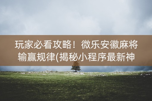 玩家必看攻略！微乐安徽麻将输赢规律(揭秘小程序最新神器下载)