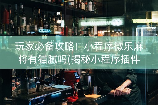 玩家必备攻略！小程序微乐麻将有猫腻吗(揭秘小程序插件免费)