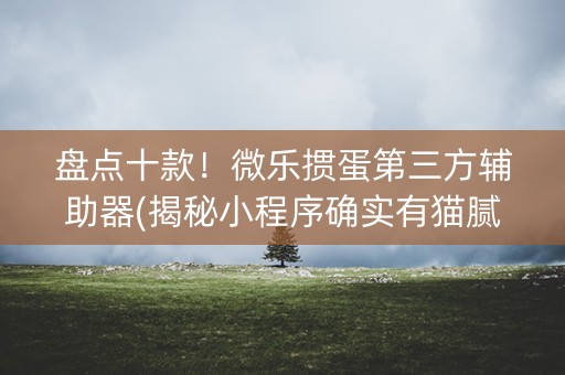 盘点十款！微乐掼蛋第三方辅助器(揭秘小程序确实有猫腻)