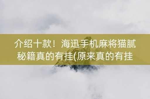 介绍十款！海迅手机麻将猫腻秘籍真的有挂(原来真的有挂)