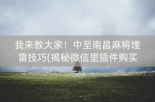 我来教大家！中至南昌麻将埋雷技巧(揭秘微信里插件购买)