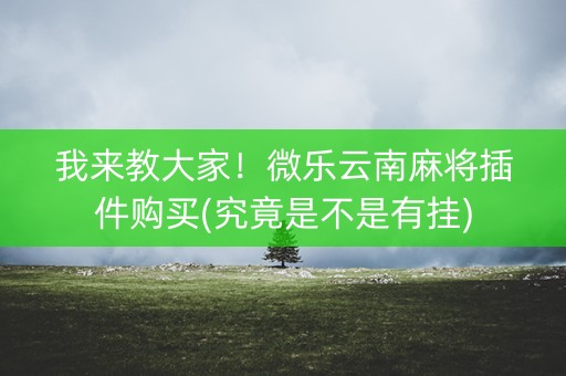 我来教大家！微乐云南麻将插件购买(究竟是不是有挂)