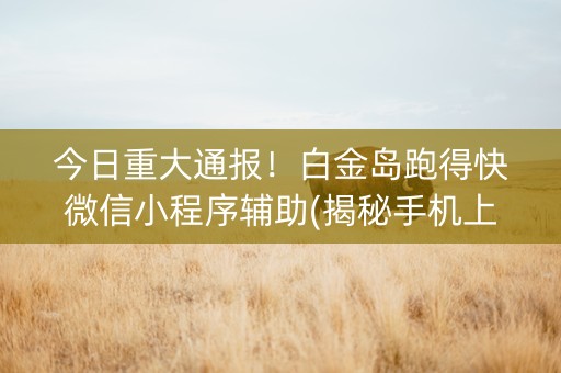 今日重大通报！白金岛跑得快微信小程序辅助(揭秘手机上胜率到哪调)