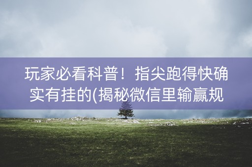 玩家必看科普！指尖跑得快确实有挂的(揭秘微信里输赢规律)