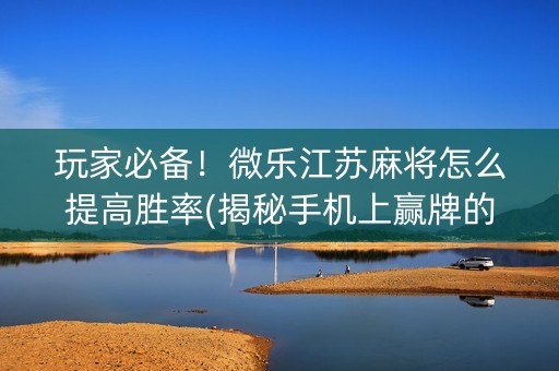 玩家必备！微乐江苏麻将怎么提高胜率(揭秘手机上赢牌的技巧)