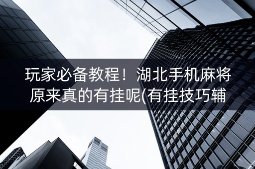 玩家必备教程！湖北手机麻将原来真的有挂呢(有挂技巧辅助器)