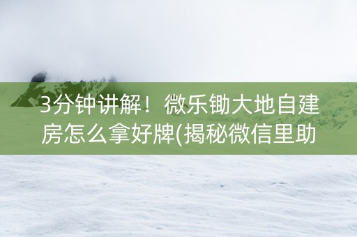 3分钟讲解！微乐锄大地自建房怎么拿好牌(揭秘微信里助攻神器)