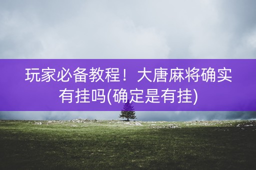 玩家必备教程！大唐麻将确实有挂吗(确定是有挂)
