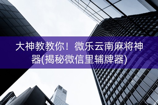 大神教教你！微乐云南麻将神器(揭秘微信里辅牌器)