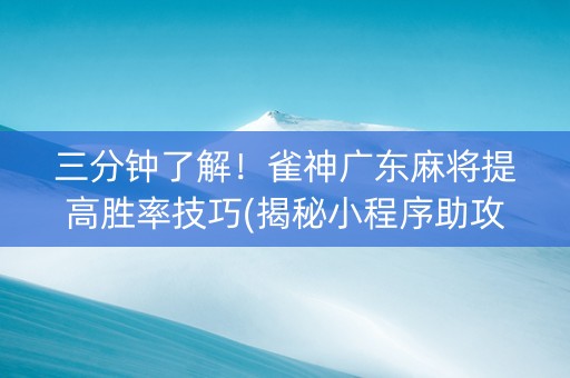 三分钟了解！雀神广东麻将提高胜率技巧(揭秘小程序助攻神器)