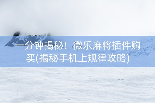 一分钟揭秘！微乐麻将插件购买(揭秘手机上规律攻略)