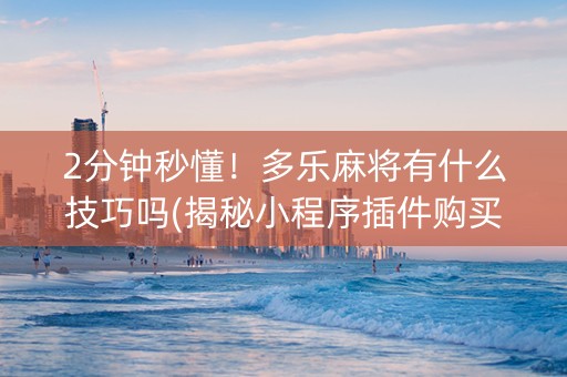 2分钟秒懂！多乐麻将有什么技巧吗(揭秘小程序插件购买)