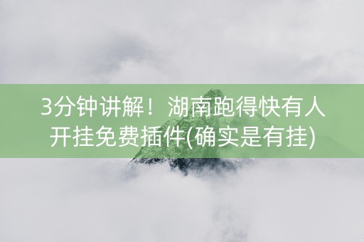 3分钟讲解！湖南跑得快有人开挂免费插件(确实是有挂)
