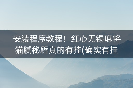 安装程序教程！红心无锡麻将猫腻秘籍真的有挂(确实有挂)
