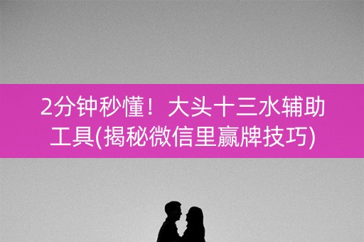 2分钟秒懂！大头十三水辅助工具(揭秘微信里赢牌技巧)