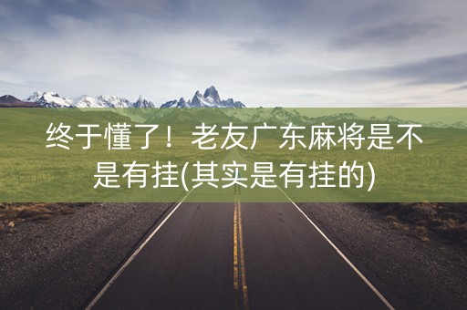 终于懂了！老友广东麻将是不是有挂(其实是有挂的)
