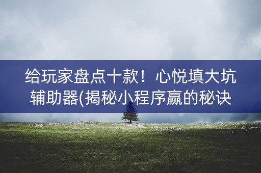 给玩家盘点十款！心悦填大坑辅助器(揭秘小程序赢的秘诀)