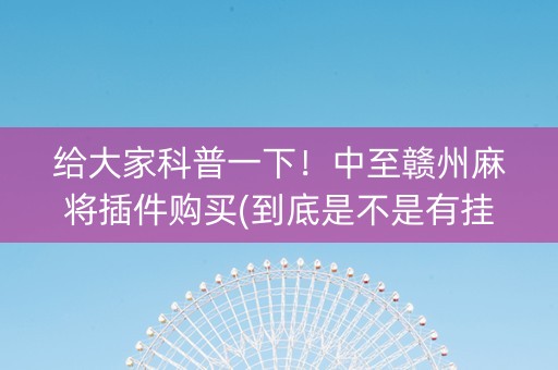 给大家科普一下！中至赣州麻将插件购买(到底是不是有挂)