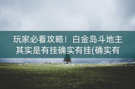 玩家必看攻略！白金岛斗地主其实是有挂确实有挂(确实有挂吗)