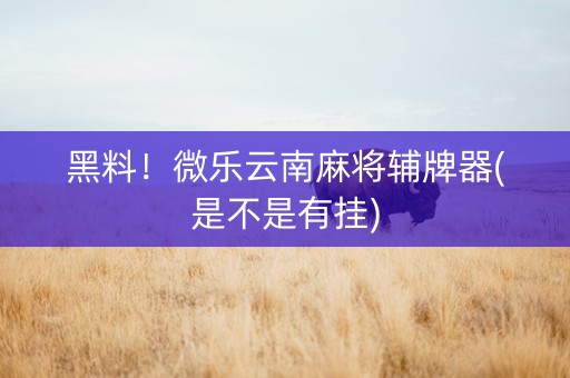 黑料！微乐云南麻将辅牌器(是不是有挂)