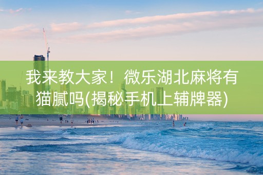 我来教大家！微乐湖北麻将有猫腻吗(揭秘手机上辅牌器)