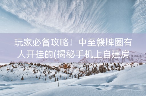 玩家必备攻略！中至赣牌圈有人开挂的(揭秘手机上自建房怎么赢)
