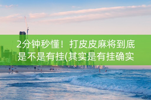 2分钟秒懂！打皮皮麻将到底是不是有挂(其实是有挂确实有挂)