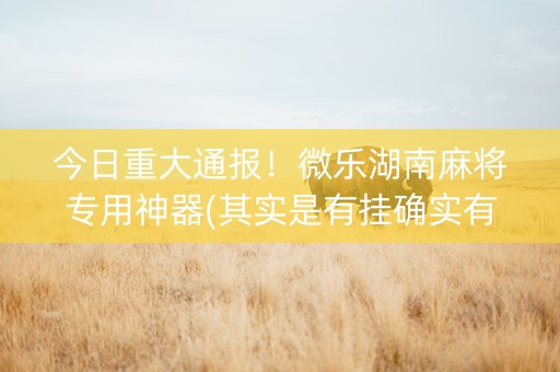 今日重大通报！微乐湖南麻将专用神器(其实是有挂确实有挂)