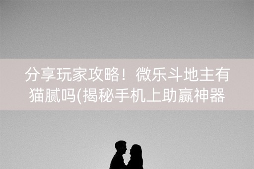 分享玩家攻略！微乐斗地主有猫腻吗(揭秘手机上助赢神器购买)