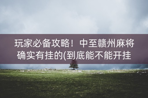 玩家必备攻略！中至赣州麻将确实有挂的(到底能不能开挂)