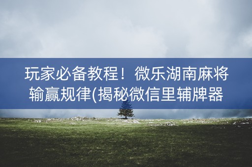 玩家必备教程！微乐湖南麻将输赢规律(揭秘微信里辅牌器)