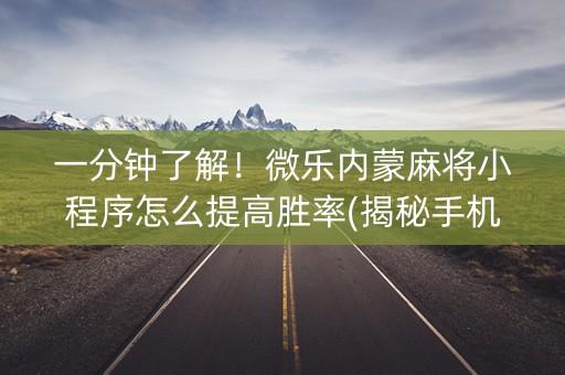 一分钟了解！微乐内蒙麻将小程序怎么提高胜率(揭秘手机上辅牌器)