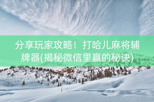 分享玩家攻略！打哈儿麻将辅牌器(揭秘微信里赢的秘诀)