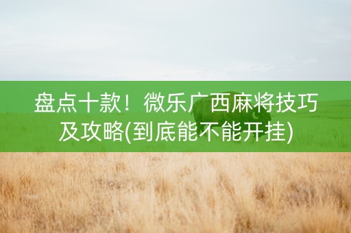 盘点十款！微乐广西麻将技巧及攻略(到底能不能开挂)