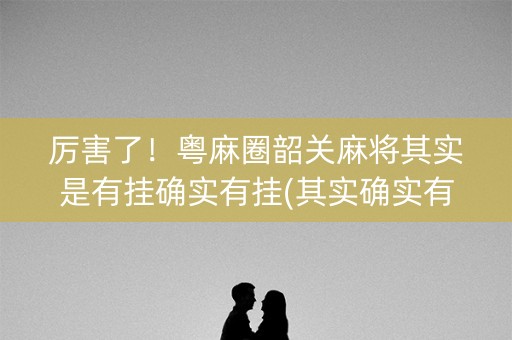 厉害了！粤麻圈韶关麻将其实是有挂确实有挂(其实确实有挂)