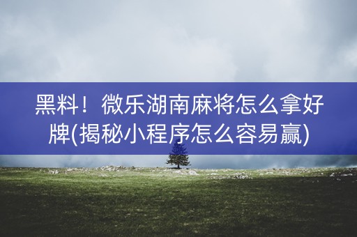 黑料！微乐湖南麻将怎么拿好牌(揭秘小程序怎么容易赢)