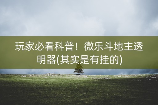 玩家必看科普！微乐斗地主透明器(其实是有挂的)